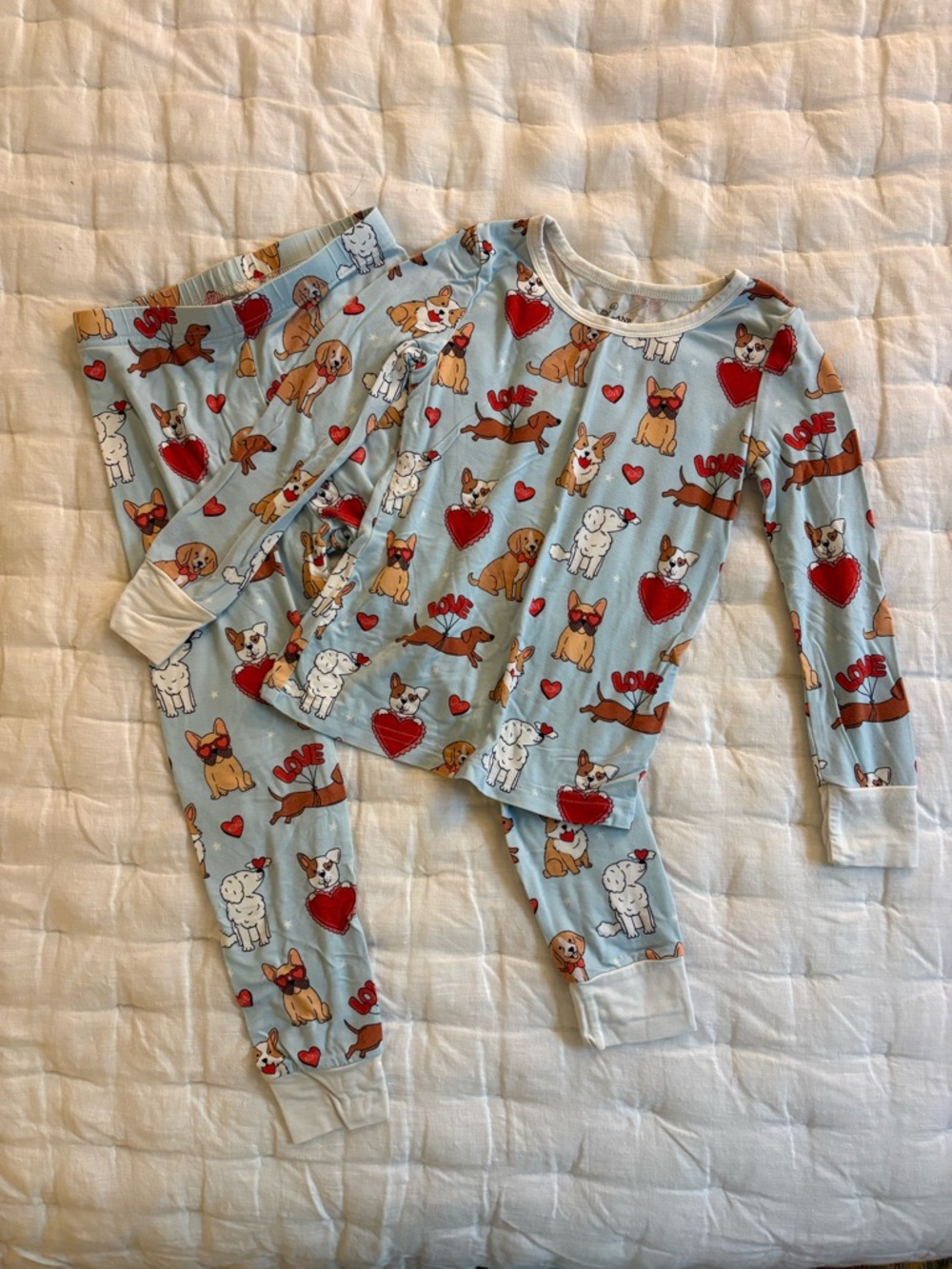 Caden Lane Light Blue Kids Pajama Set with Dog & Red Heart Prints